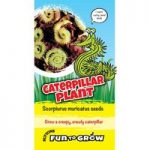 Scorpiurus muricatus Seeds – Caterpillar Plant (Mix)