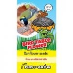 Sunflower Seeds – Bird Table Flower (Titan)