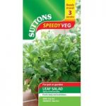 Speedy Veg Seed – Leaf Salad Spicy Oriental Mix