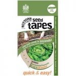 Seed Tape – Lettuce