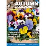 Autumn Catalogue 2021- 3rd Edition