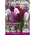 Autumn Catalogue 2021 – 4th Edition