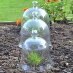 Bell Glass Cloches