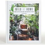 Wild At Home – How to Style and Care For Beautiful Plants
