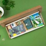 Herbs Letterbox Gift