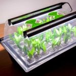 Large Heated Hydropod Cutting Propagator with Lights and Heater