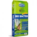 MO Bacter