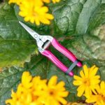 FloraBrite? Bypass Harvesting Snip – Pink