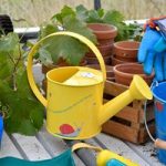 Get Me Gardening – Watering Can