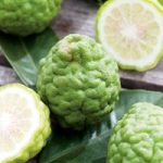 Citrus Plant – Kaffir Lime