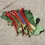 Rhubarb Crowns – Fulton’s Strawberry Surprise