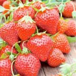 Strawberry Plants – Mara des Bois