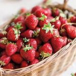 Fruit Strawberry Vibrant