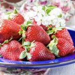 Strawberry Plants – Korona