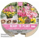 Plant-O-Tray Preplanted Gladiolus & Freesia
