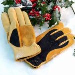 RHS Winter Touch Gloves