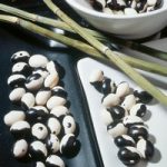 Bean (Dwarf French Kidney) Seeds – Yin Yang