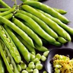 Bean (Broad) Seeds – Masterpiece Green Longpod