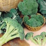 Broccoli Seeds – Autumn Spear