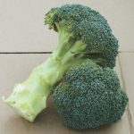 Broccoli Seeds – F1 Green Magic