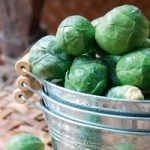 Brussels Sprout Seeds – F1 Crispus