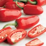 Pepper Chilli Plants – Jalapeno