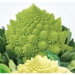Cauliflower Seeds – Romanesco White and Green
