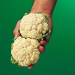 Cauliflower Seeds – Igloo