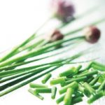 Herb Plant – Chives
