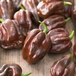 Pepper Chilli Seeds – Chocolate Habanero