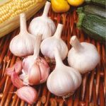 Garlic Bulbs – Flavor
