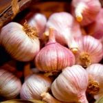 Garlic Bulbs – Lovers Autumn Planting Collection