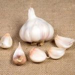 Garlic Bulbs – Picardy Wight