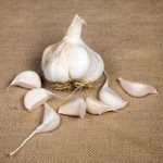 Garlic (Softneck) Bulbs – Maddock Wight