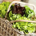 Lettuce Seeds – Mixed Varieties