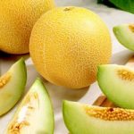 Melon (Galia) Seeds – F1 Lavi Gal