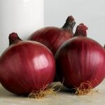 Onion Sets – Red Arrow