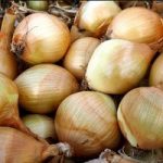 Onion (Organic) Seeds – Ailsa Craig