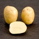 Seed Potatoes – McCain Premiere