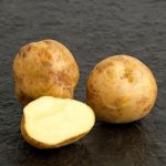 Seed Potatoes – McCain Royal
