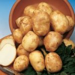Seed Potatoes – Pentland Javelin
