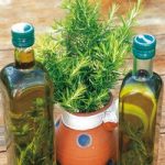 Herb Seed – Rosemary