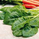 Spinach Seeds – Perpetual Spinach