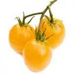 Tomato Perum