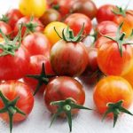Tomato Plants – Artisan™ Bumble Bee Mix