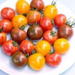 Tomato Seeds – Artisan Bumble Bee Mix